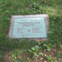 Navy Walk WWII Trees Central Park NYC2.JPG
