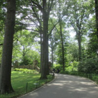 Navy Walk WWII Trees Central Park NYC4.JPG